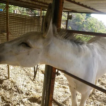 Bed & Breakfast Burros