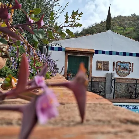 Burros Bed & Breakfast Totalan